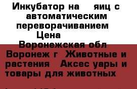 Инкубатор на 75 яиц с автоматическим переворачиванием › Цена ­ 4 500 - Воронежская обл., Воронеж г. Животные и растения » Аксесcуары и товары для животных   